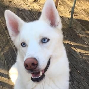 Meet your Posher, Tara